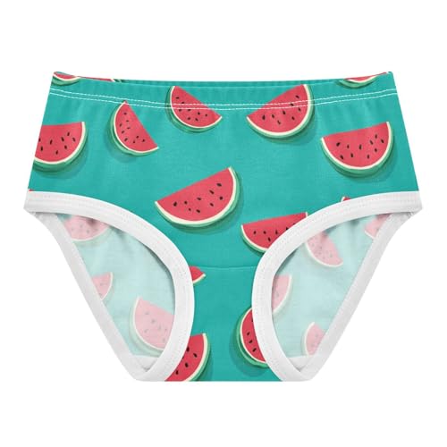 Wusikd Watermelon Girls' Underwear Cotton Green Girls Briefs Soft Toddler Underwear 2T