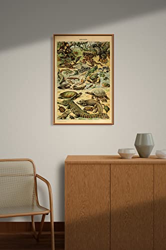 Reptiles By Adolphe Millot Old Fashioned French Reptile Illustration Great Vintage Wall Decor With Crocodiles, Alligators And Lizard Retro Style Canvas Wall Art Prints (Reptiles,12X18Inch) #TOP3
