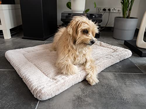 TrendPet Harmony 4cm gefütterte Hundedecke, Katzendecke, Liegedecke für Hunde und Katzen (Creme, 90x65cm)