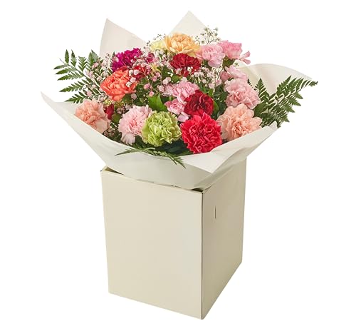 Simple Beauty Bouquet Fresh Flowers - Carnation Autumn Arrangement celebrating Birthdays, Get-Well, Anniversary, Thoughtful Gifting, Floral occasions, Long-Lasting Blooms
