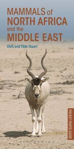Buy Pocket Photo Guide to the Mammals of North Africa and the Middle East — BookShops.in