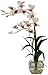 Nearly Natural 1135-WH Dendrobium with Glass Vase Silk Flower Arrangement, White,6.75