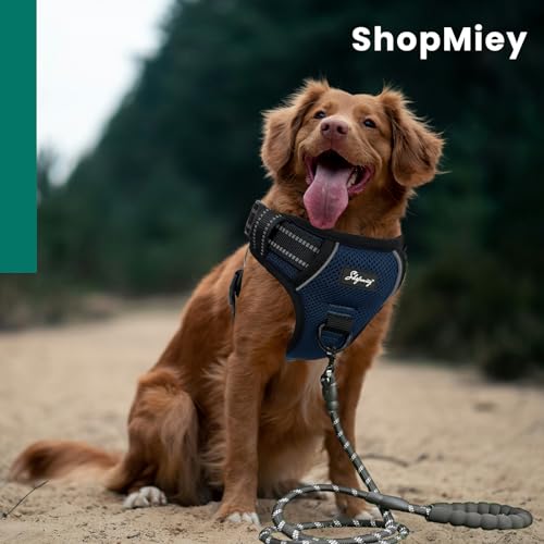 ShopMiey Dog Harness No Pull Pet Harness with 2 Leash Clips, Adjustable Soft Padded Pet Vest - Image 3