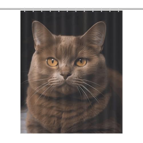 Rideau de douche chat marron imperméable 152x183 cm avec crochets - 8