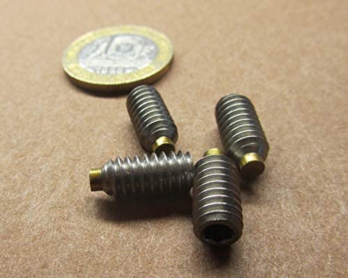 18-8 Stainless Steel Brass Tip Set Screw 1/4"-20 x .500" Thread Length 20 pcs.