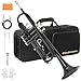 Soulmate Trumpet, Bb Standard Trumpet Set for Beginner, Brass Student Trumpet Instrument with Carrying Hard Case, Cleaning Kit, 7C Mouthpiece and Gloves(Black Trumpet Set)