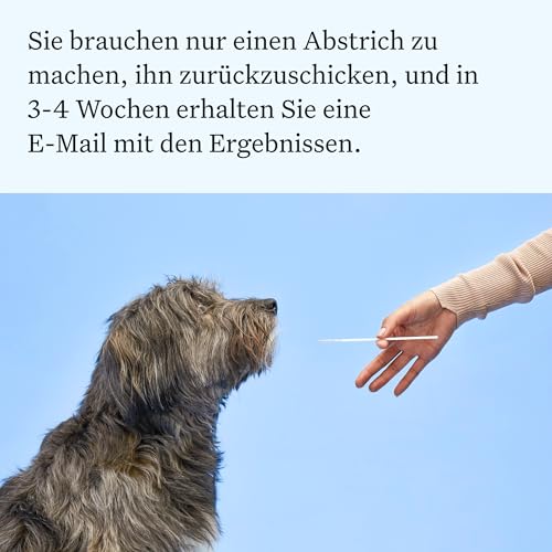 Wisdom Panel Essential – Hunde-DNA-Test für Ahnen, Rassen, Eigenschaften und Gesundheitstests