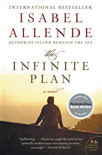 The Infinite Plan: A Novel