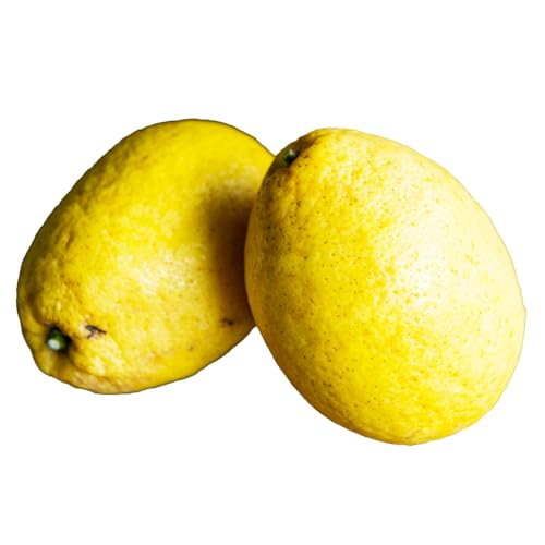 無茶々園のひょう柑 果物 みかん くだもの ミカン 蜜柑 柑橘類 フルーツ 愛媛県 西予市 (約3kg)