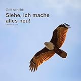 Es ist Zeit, Neues zu wagen (Lied zur Jahreslosung 2026)