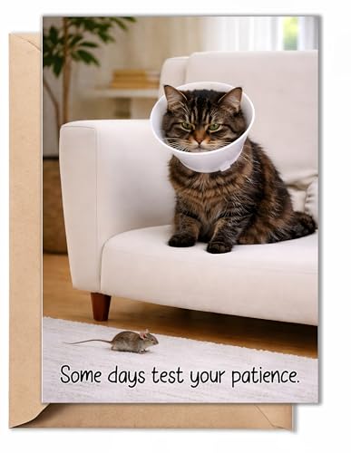 TRIDECOR Funny Get Well Soon Card – Cute Cat Recovery Card with Cone, Light Humor Encouragement, Get Well Soon Gift for Friend, Coworker, Family – 5x7 Folded Greeting Card with Envelope