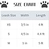 Lionet Paws Spring Daisy Dog Leash Matching Dogs Collar for Small Medium Dog