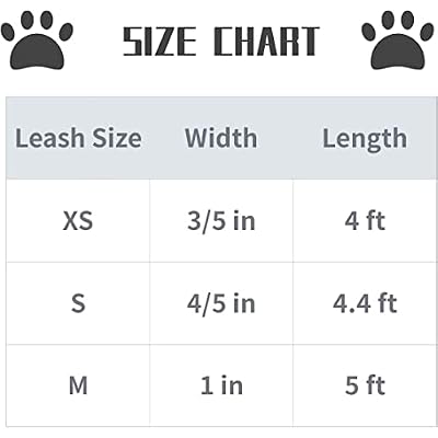 Lionet Paws Spring Daisy Dog Leash Matching Dogs Collar for Small Medium Dog