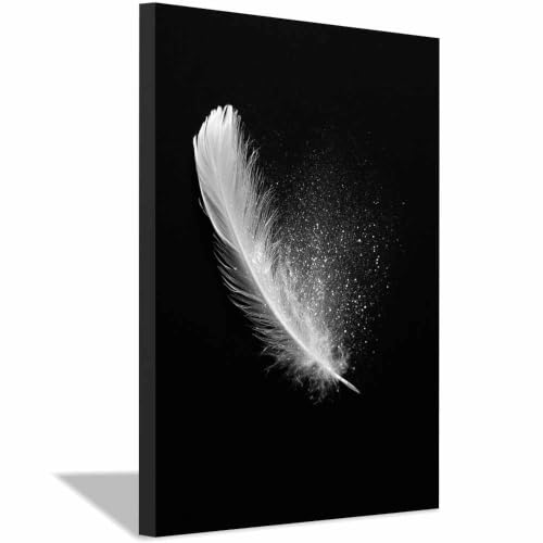 Affiche murale délicates plumes art noir et blanc sous cadre 20x30cm