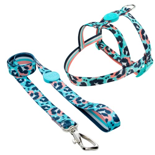 Toh Conjunto Peitoral Tradicional E Guia Savana M