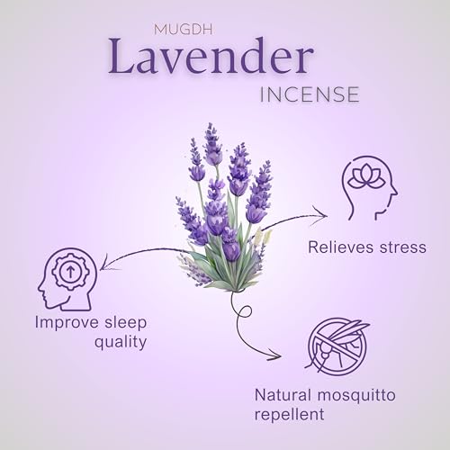 Image of Mugdh Natural Incense Cones Combo - Panadi & Lavender | Bambooless, Low Smoke, Charcoal free Dhoop Cones | 80 Organic dhoop batti | Free Cotton Potli & Dhoop Stand | Home Fragrance, Pooja & Meditation