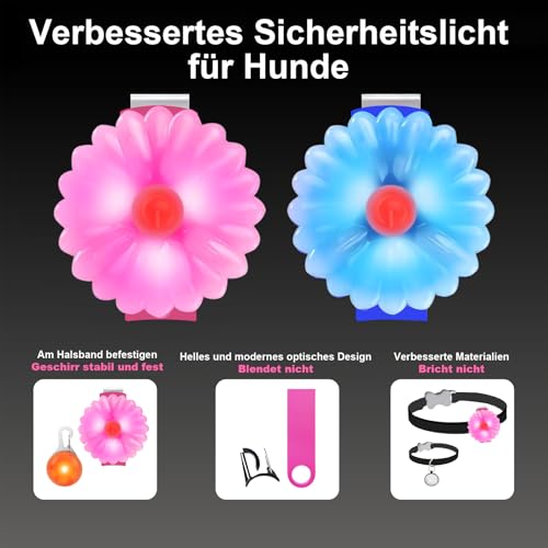 AHJ Hundelicht LED Aufladbar 2 Stück, USB-Sicherheits-Leuchtanhänger mit Blinklicht für Hunde & Katzen – kinderleicht an Schulranzen, Geschirr oder Jogger im Dunkeln befestigt( Rosa-Blau)