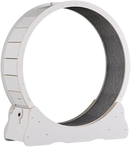 AZIEBAY^LpjOzC[ gbh~p ܂Ƃ{[ȟ^ É݌vEᑛ[[ SbNt ω׏d 70kg L̉^sEʂɍœK ybǧNێT|[g Lɐ