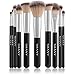 SHANY Makeup Brush Set 8 Piece Essential Professional Make up Brush Set - No Case