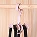 LIONWEI LIONWELI Rotating Handbag Hanger Rack Closet Storage Organizer Hooks for Bag Belt Tie Scarf 4 Color