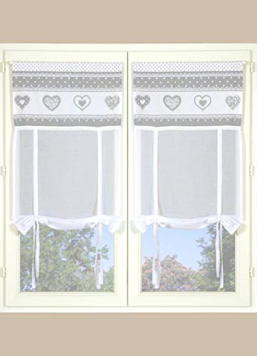 Atout Ciel paire de stores passe-tringle 2x 60x90cm gris prêts à poser