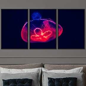 signwin 3 Piece Framed Canvas Wall Art Colorful...