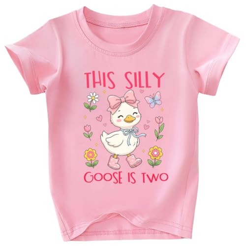 Image of Toddler Girls 2nd Birthday Shirt Outfit for Girls Cute Two Years Old Birthday Gift