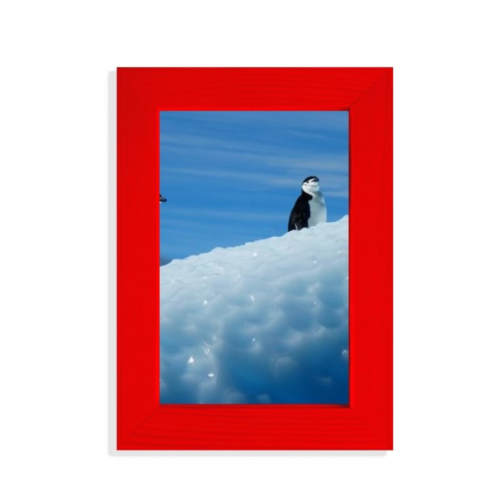 Cadre photo rouge pingouins déco de chambre d'enfant salon et bureau