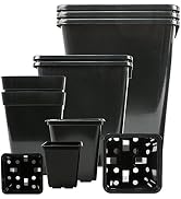 15-stk Profi-Pflanztopf viereckig 15x15x20-cm 3,15-Liter  Hochwertiger PP  Kunststoff  Perfekt fr Indoor & Outdoor z.B Winter-Garten Terasse  Grow-Box  Rosen-Topf fr kleine & mittel groe Pflanzen: Amazon.de: Garten
