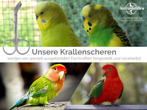 Vogel Krallenschere Krallenzange abgewinkelter Krallenschneider 9 cm - Krallen kürzen von Papageien Sittiche Wellensittiche Kleintiere - Rostfreier Edelstahl - Markenqualität vom Fachhandel