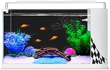 Small Fish Tank Aquarium Starter Kits with LED Light and Filter Pump Transparent Glass Fish Tank with Aquarium Decor Stones and Ornament Aquarium for Small Fish Nice Home Decor (Size : 80cm/31.5in)