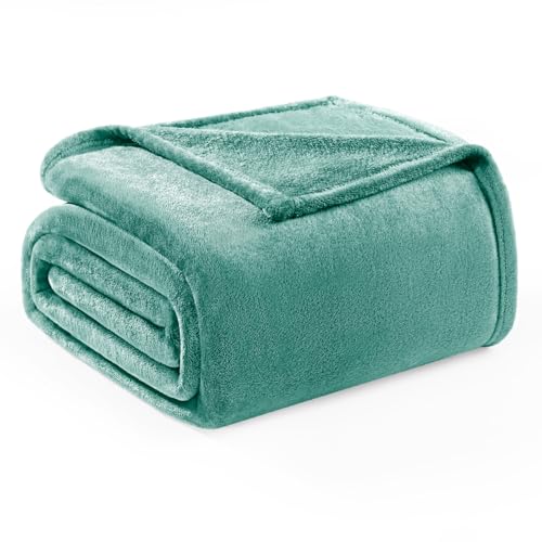 Exclusivo Mezcla Manta Sofá de Franela, Manta de Cama Suave y Ligera, Adecuado para Cualquier Temporada, Acogedor, Afelpado, 220x240 cm, Celadón