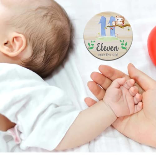 Image of Wooden Baby Monthly Milestone Cards with Birth Announcement Sign Newborn Photography Props Baby Shower Gifts for Boys and Girls (Monthly Milestone Circles)
