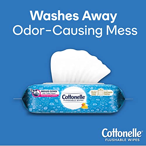 Cottonelle Flushable Wet Wipes For Adults, 2 Flip-Top Packs, 42 Wipes Per Pack (84 Wipes Total) #TOP3