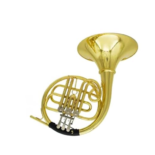 Professional French Horn French Horn B Flat Single Three Key Split French Horn Instrument Beginner Entry Examination Performance