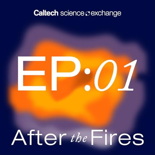 Data in the Immediate Aftermath