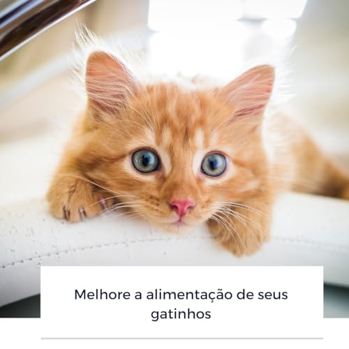 Grama para gato Kit Graminha para gatos Vaso Autoirrigável Inteligente Grama Félix Kit Completo Evit