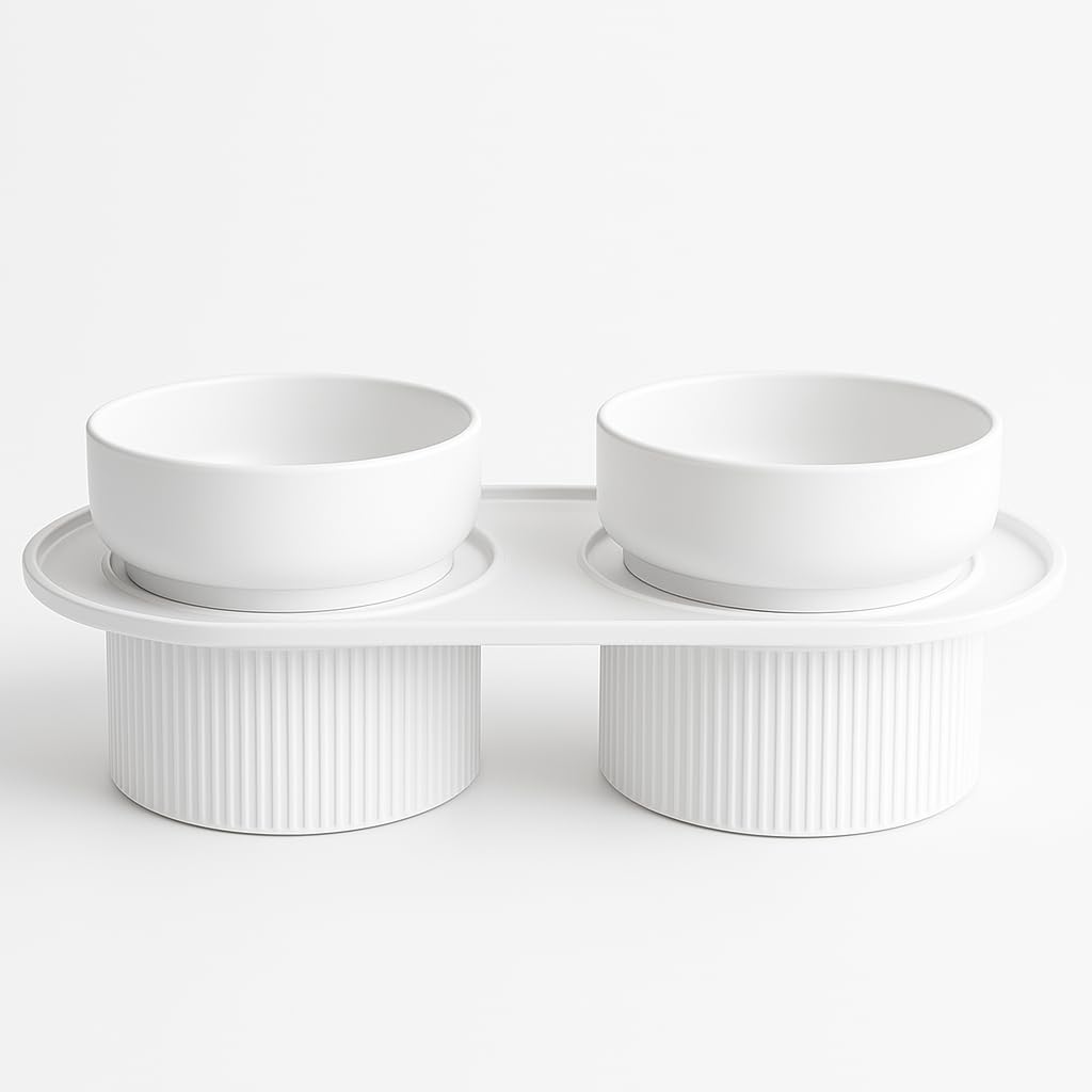 Elevated Pet Bowls Set, Modern Style Ceramic Food and Water Dishes with Raised Stand (White)