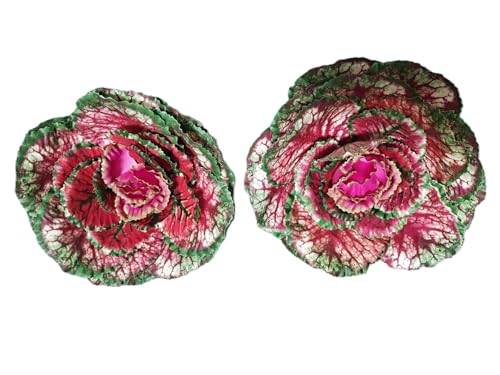 Artificial Ornamental Cabbage Plants, 8 Inch Decorative Purple Faux Kale Heads, 2 Pack (2 Purple)