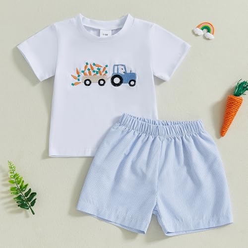 Image of Toddler Baby Boy Easter Rabbit Outfit Short Sleeve Bunny Carrot Smocked T-shirt Elastic Waist Shorts Summer Clothes