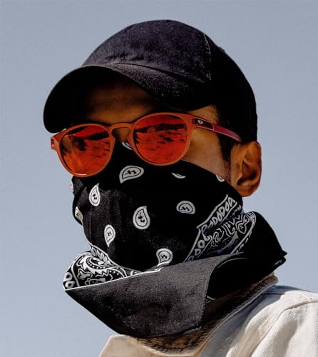 2 Pack Types of Paisley Pattern Bandanas, 22x22 Inches Cotton Bandanas Handkerchief Face Mask for Men & Women