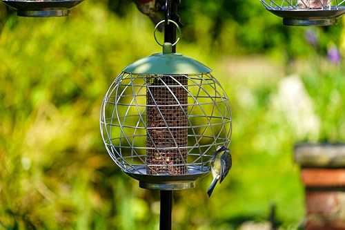 Johnston & Jeff Miami Squirrel Proof Peanut Feeder 25Cm Metal Wild Bird Feeder - 3