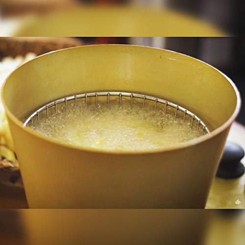 Progás, P35163, Fritadeira Tacho Fritador Elétrico Pirogas 1 litro 220V, Cor Inox, Aço