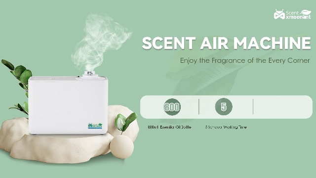 Mxmoonant Aroma Diffuser Wasserlos – Für ätherische Öle, 800ml Flasche, App-Steuerung, Bis 3000m³, Für Hotel & Gewerbe