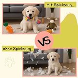 BALLONTE Welpenspielzeug Set 7-teilig für kleine Hunde – Kau- & Quietschspielzeug, Robustes Seilspielzeug, Beschäftigung & Zahnpflege für Welpen – Ungiftige Materialien, Spielzeug gegen Langeweile