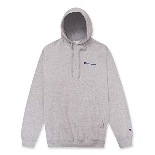Champion Mens Big & Tall Embroidered Pullover Hoodies Sweatshirt Grey 3X