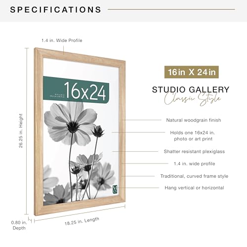 MCS Studio Gallery Classic 16x24 Poster Frame Natural Woodgrain, Vertical & Horizontal Wall Hanging Large Picture Frame for Photos, Posters & Art Prints (1-Pack)
