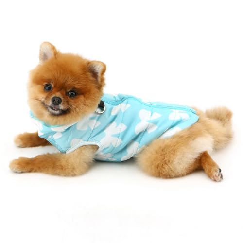 Image of SMALLLEE LUCKY STORE Dog Coat with D-Ring for Small Dogs, Baby Blue, XS | Bow Print, Water-resistant Shell, Padded Warmth, Zip-up Fit, Winter Walks, Chihuahua, Yorkie, Small Dog Harness Jacket