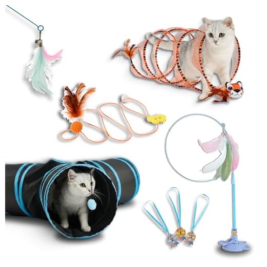 LOOPY CAT Olympic 5-in-1 Interactive Kit