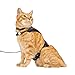 Youly by Petco Star and Moon Full Cat Harness Small/Medium